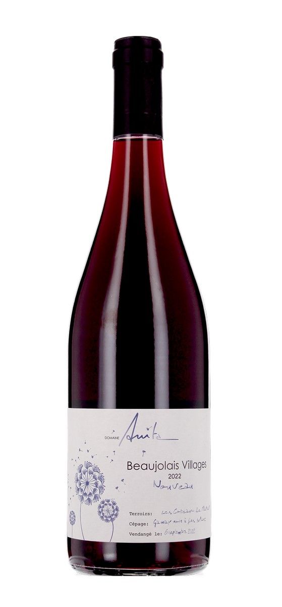 Domaine Anita - Beaujolais-Villages Nouveau 2022