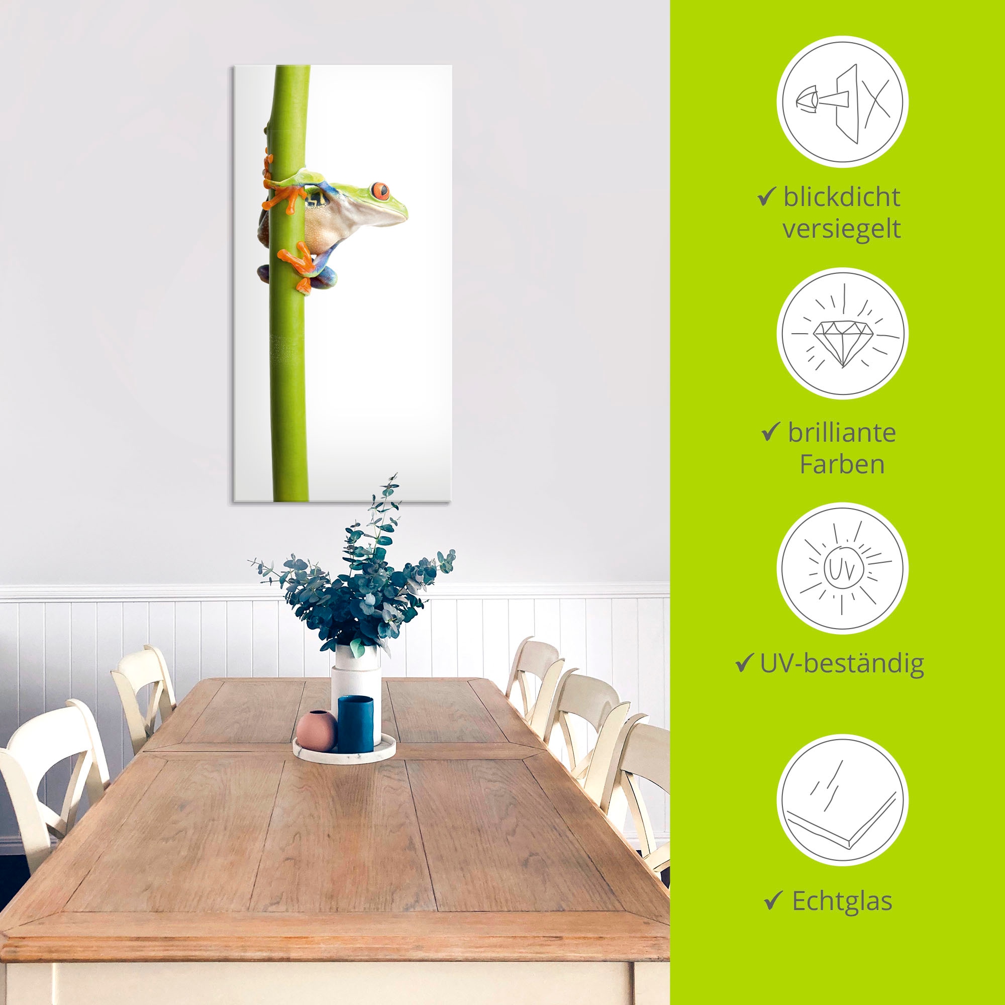Artland Glasbild »Frosch umfasst einen Pflanzenstengel« Wassertiere 1 Stk. tlg.