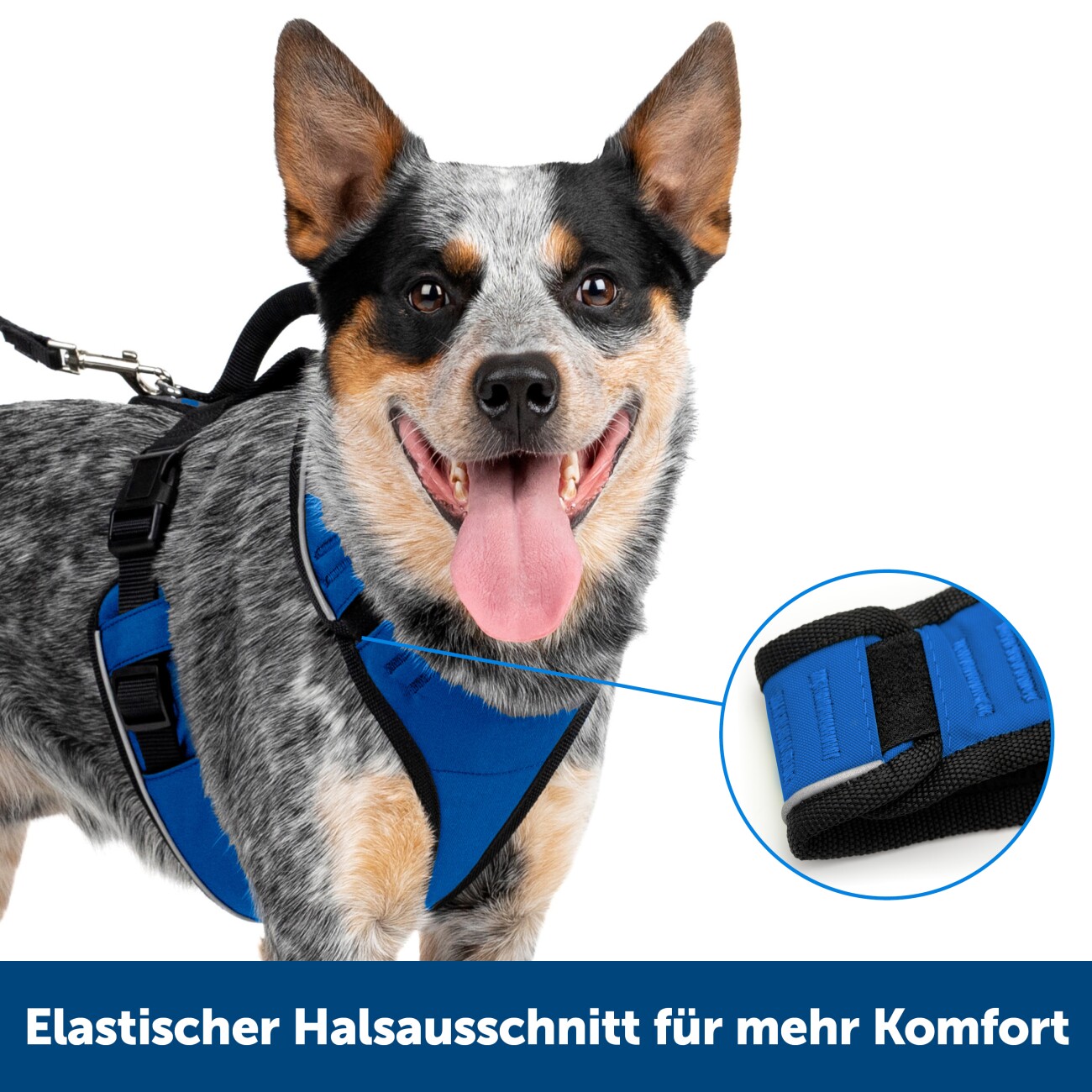 PetSafe EasySport Hundegeschirr rot S