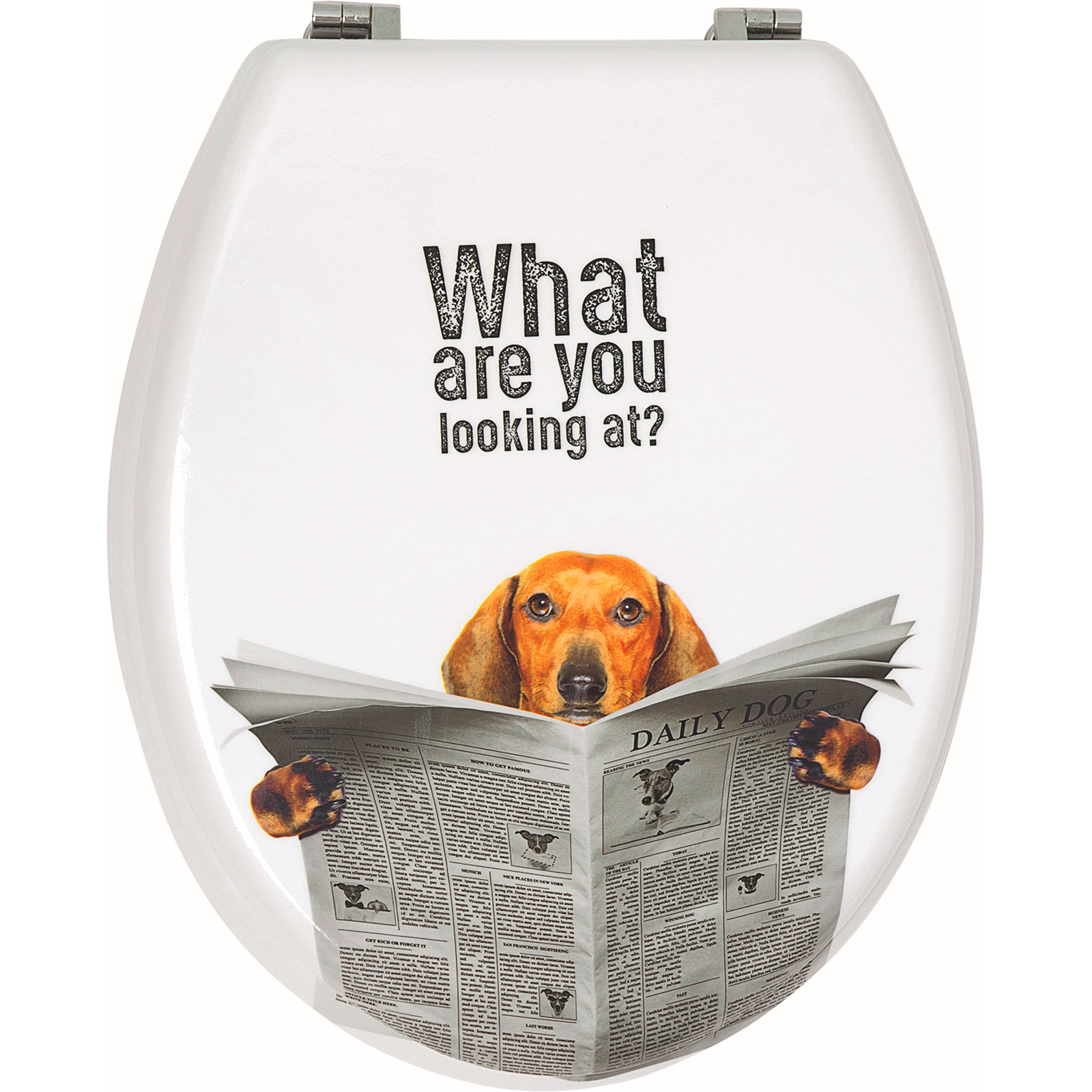 WC-Sitz mit Absenkautomatik Dogy
