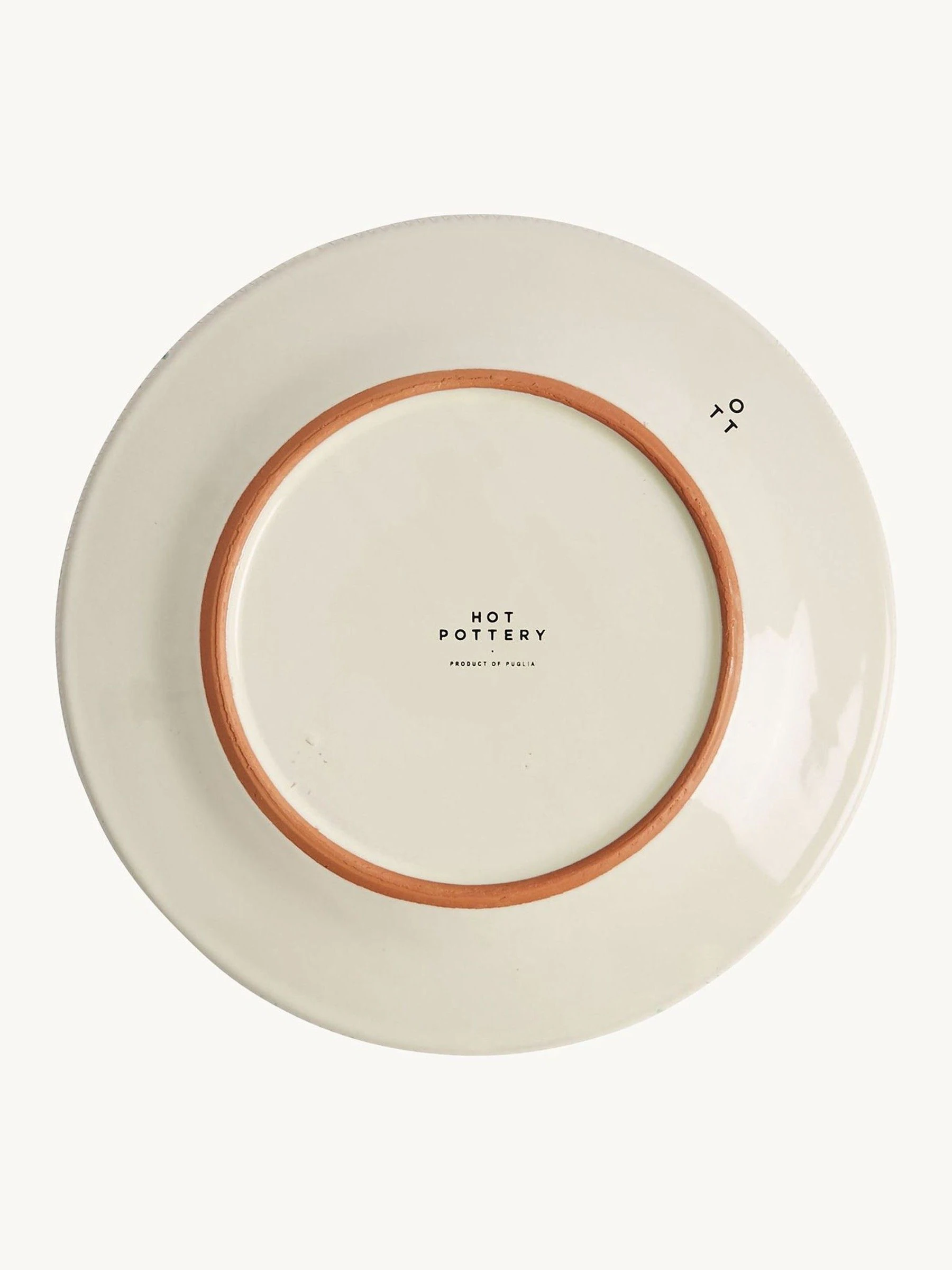 Hot Pottery Set of 4 Splatter Dinner Plates