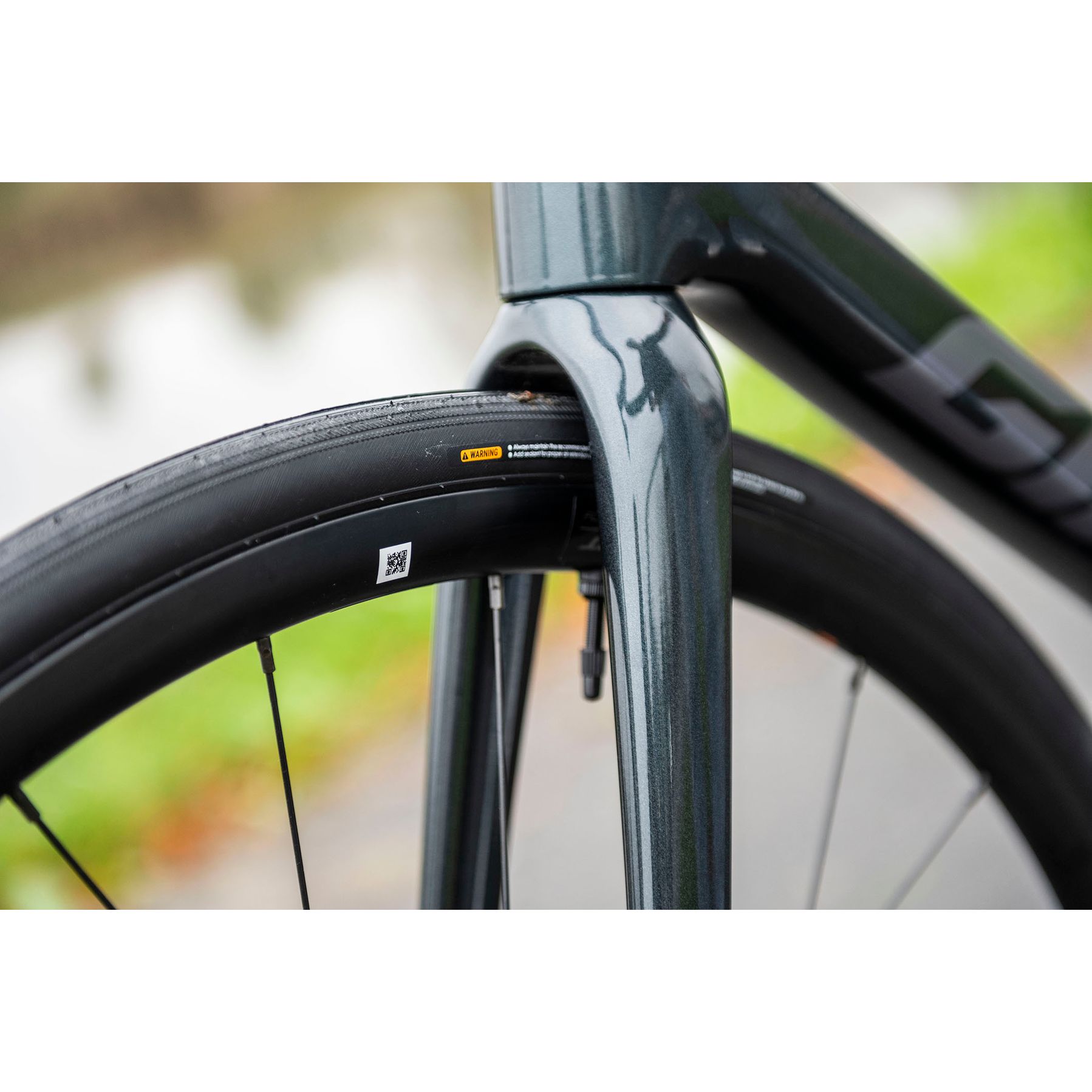 Giant TCR Advanced 1 2025