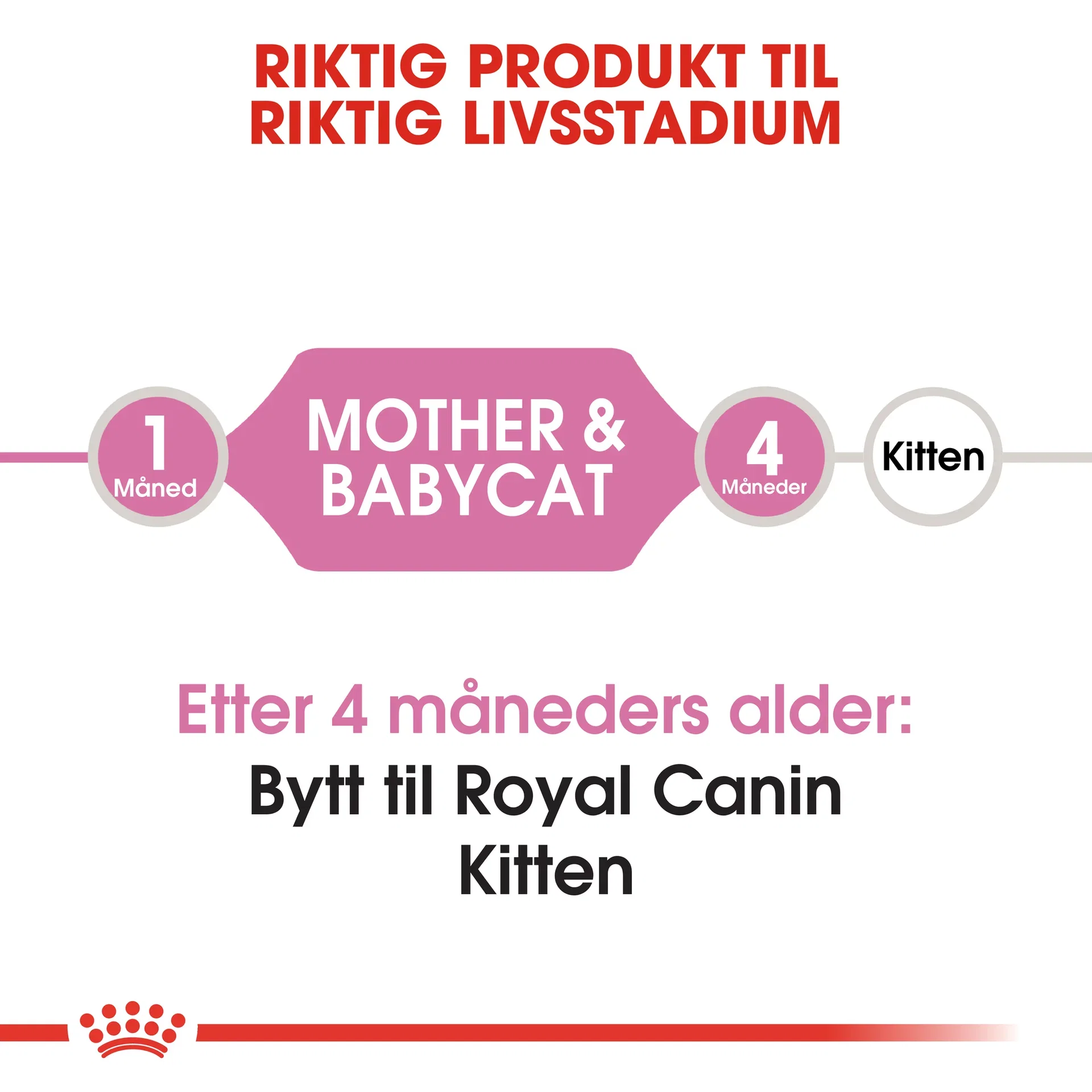 Royal Canin Royal Canin Mother & Babycat 2 kg
