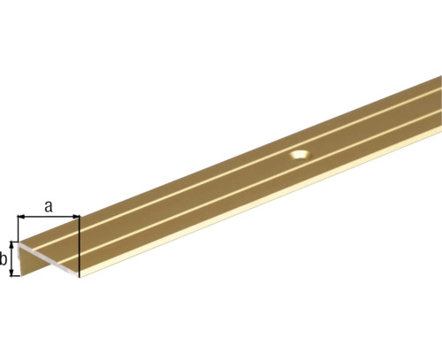 Trapprofiel, aluminium, goud geanodiseerd, 24,5x10x1,5 mm, 1 m