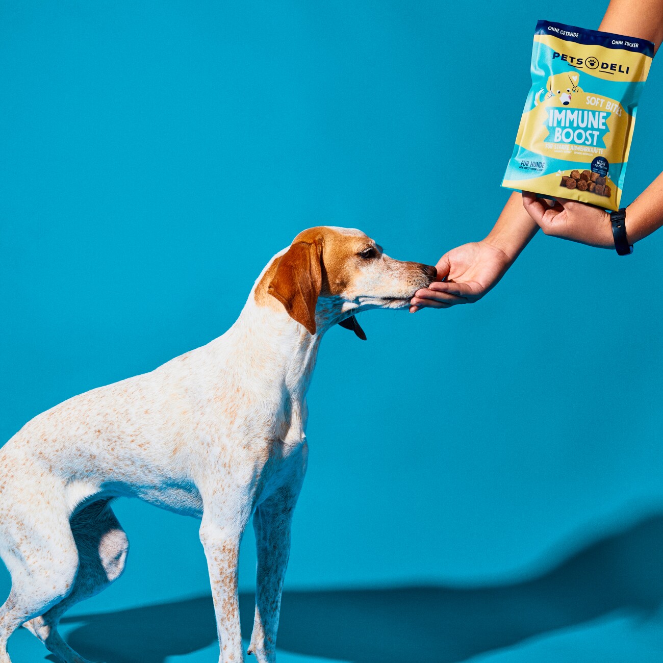 Pets Deli Adult Snack Soft Bites Immune Boost 300g