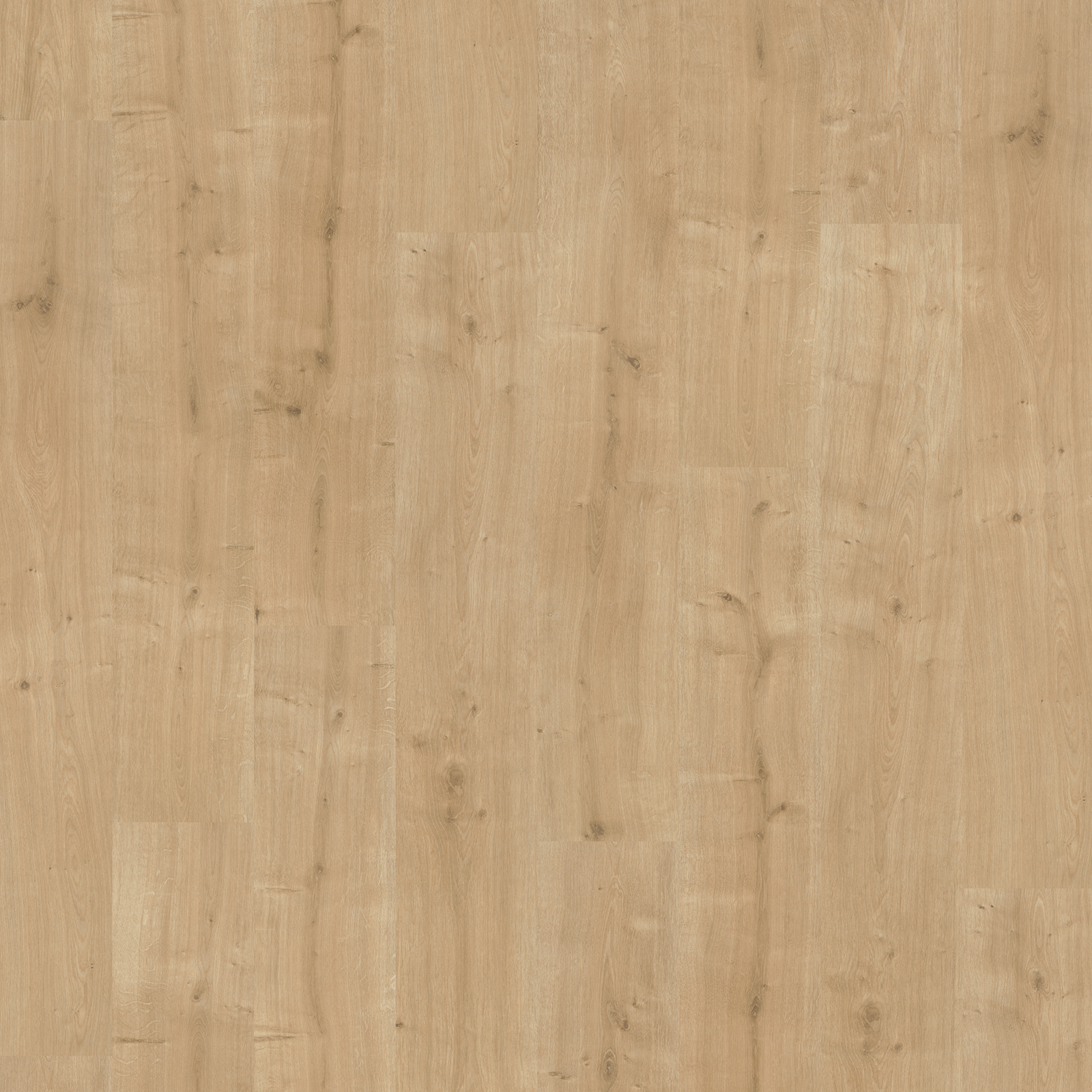 PARADOR Laminat BASIC 400 - Eiche geschliffen - 8 mm