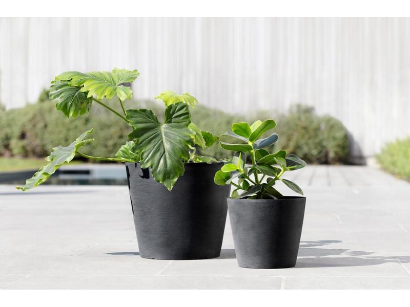 Ecopots Pflanzentopf Amsterdam 20, Dunkelgrau Robuster und langlebiger Blumentopf