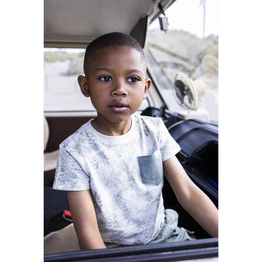 Noppies T-shirt Ricardo Willow Grey
