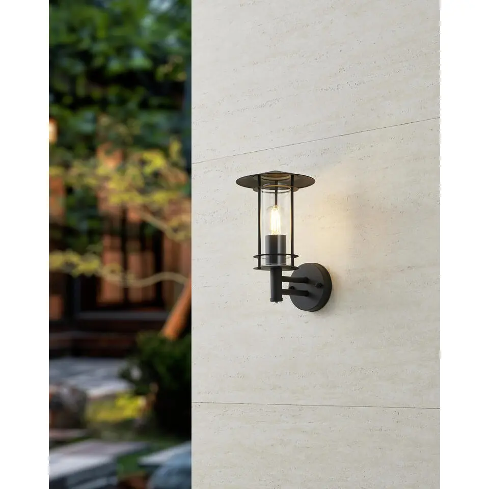 EGLO Lisio 1 Wandlamp - E27 - 30 cm - RVS - Glas - Zwart