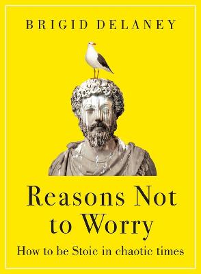 Reasons Not to Worry: How to be Stoic in chaotic times (Hardback)