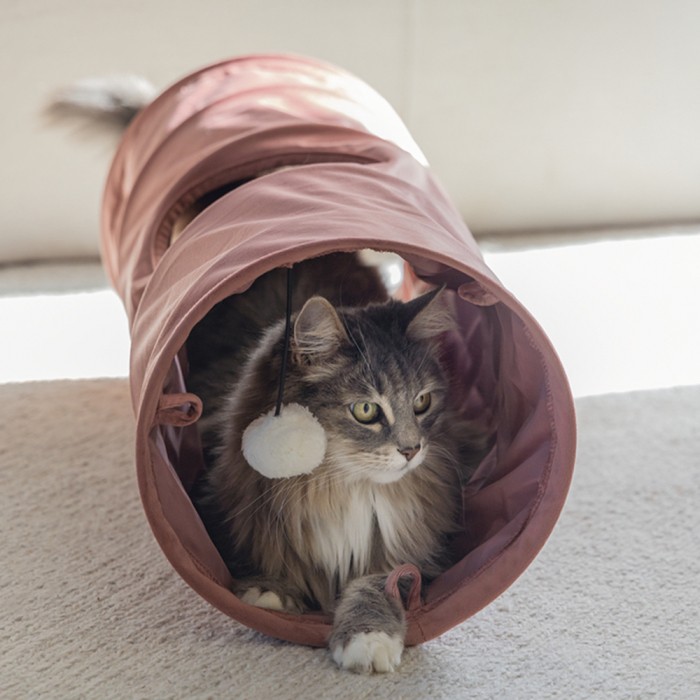 Tunnel Cylla Rose