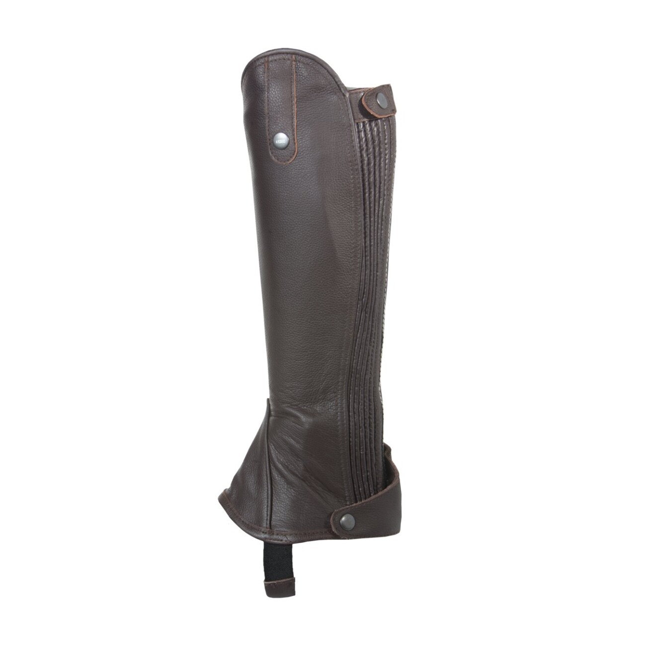 4Riders Chaps Classic kurze Wade braun L - INT