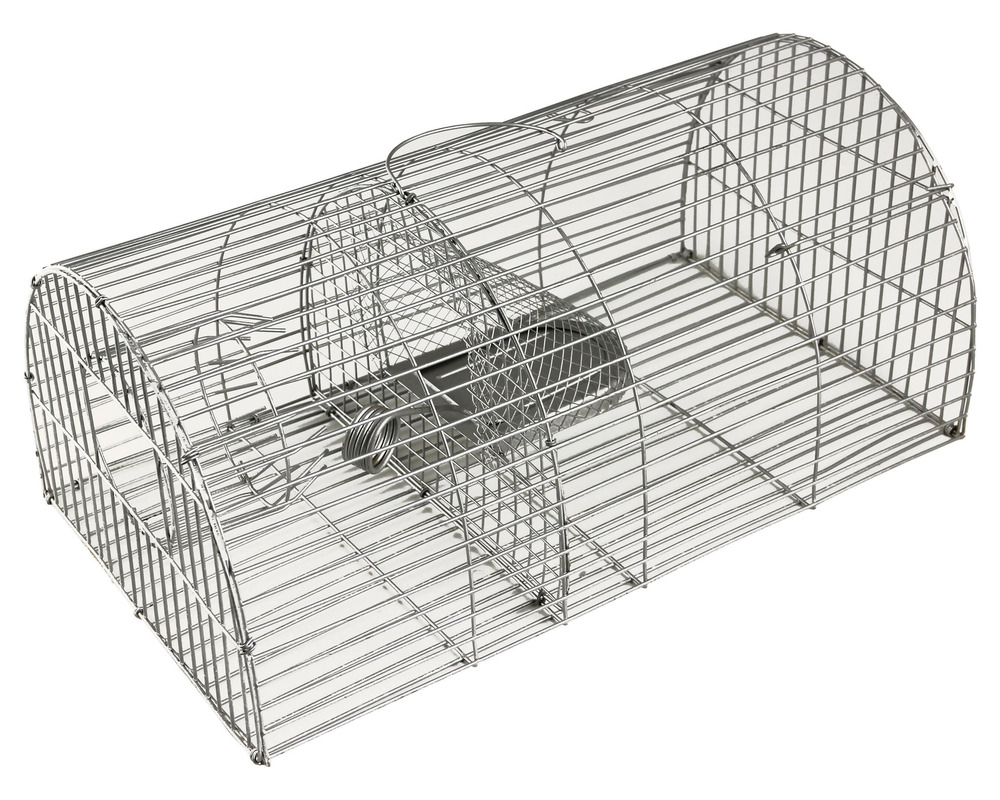 Nasse à rats klaktrap • contre les rats et les souris