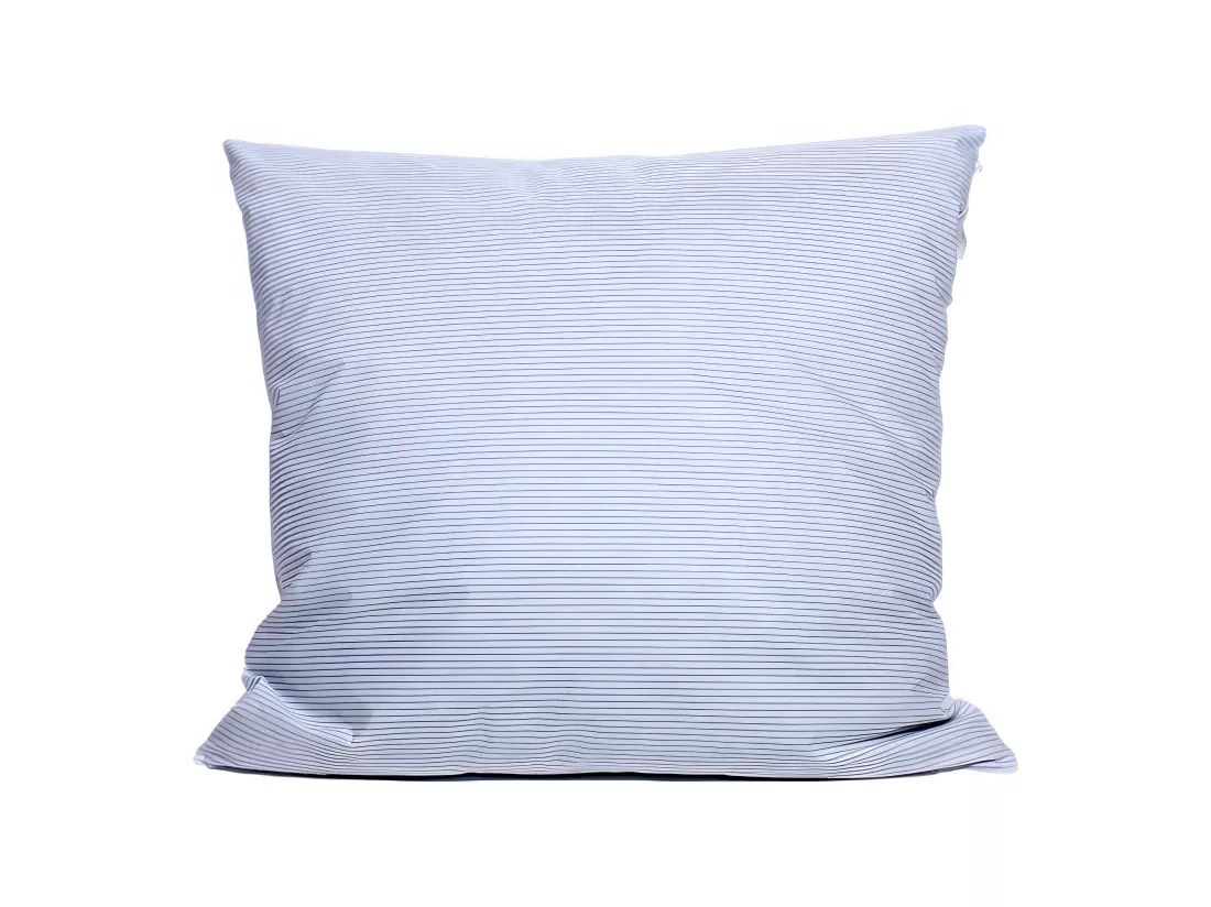 Oreiller Plumes 60 X 60 Cm 