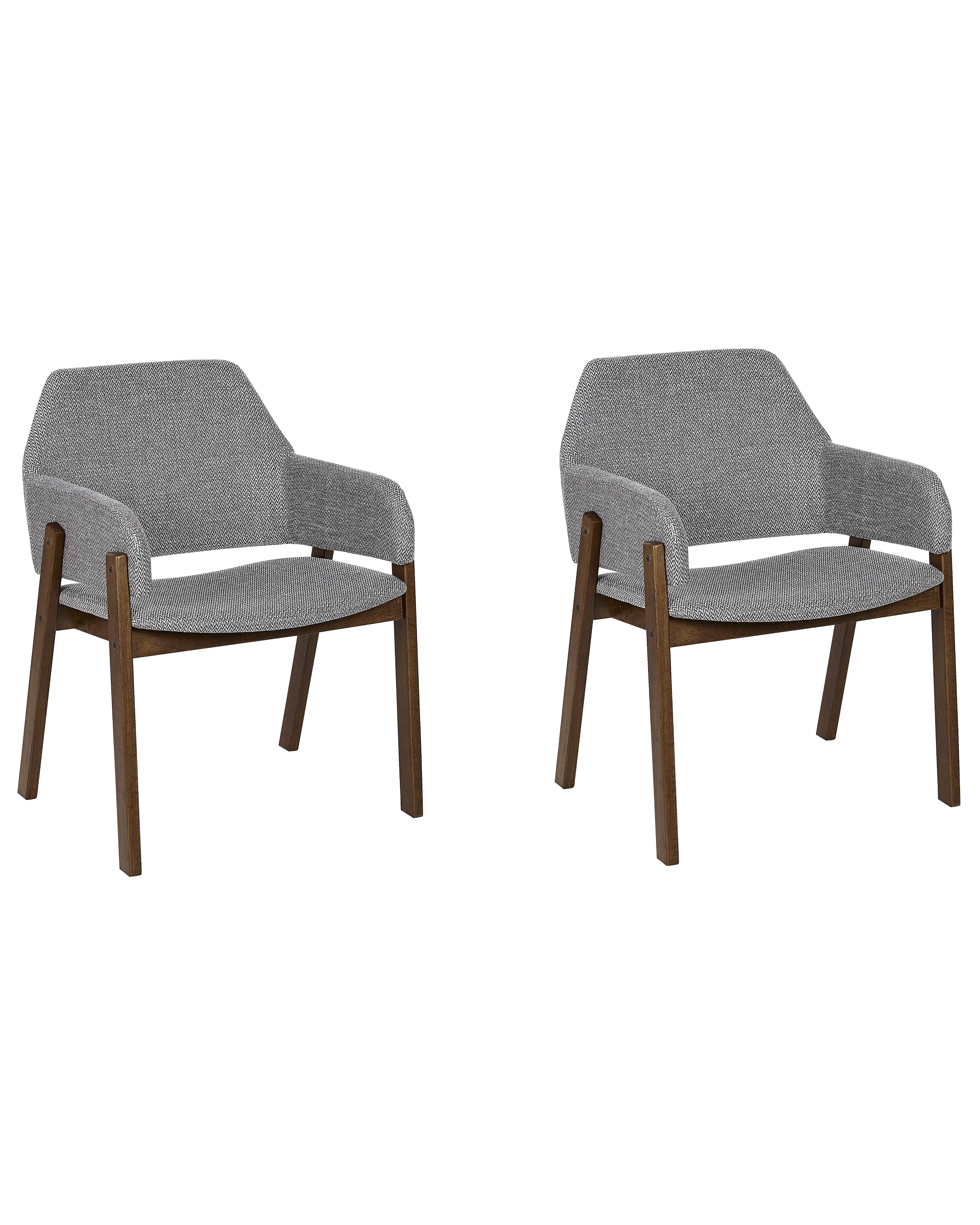 Set van 2 eetkamerstoelen ALBION Grijs