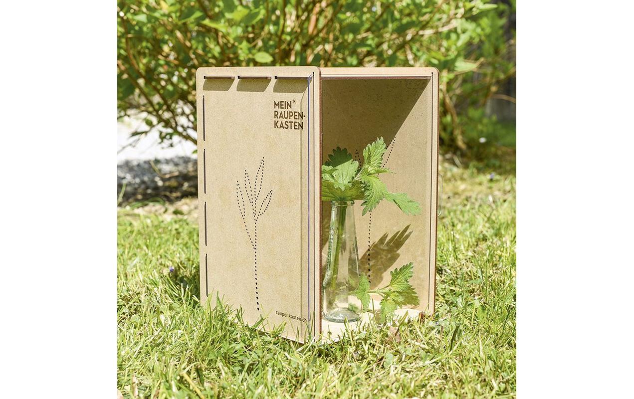 Insektenhotel RaupenkastenAufzucht-Box