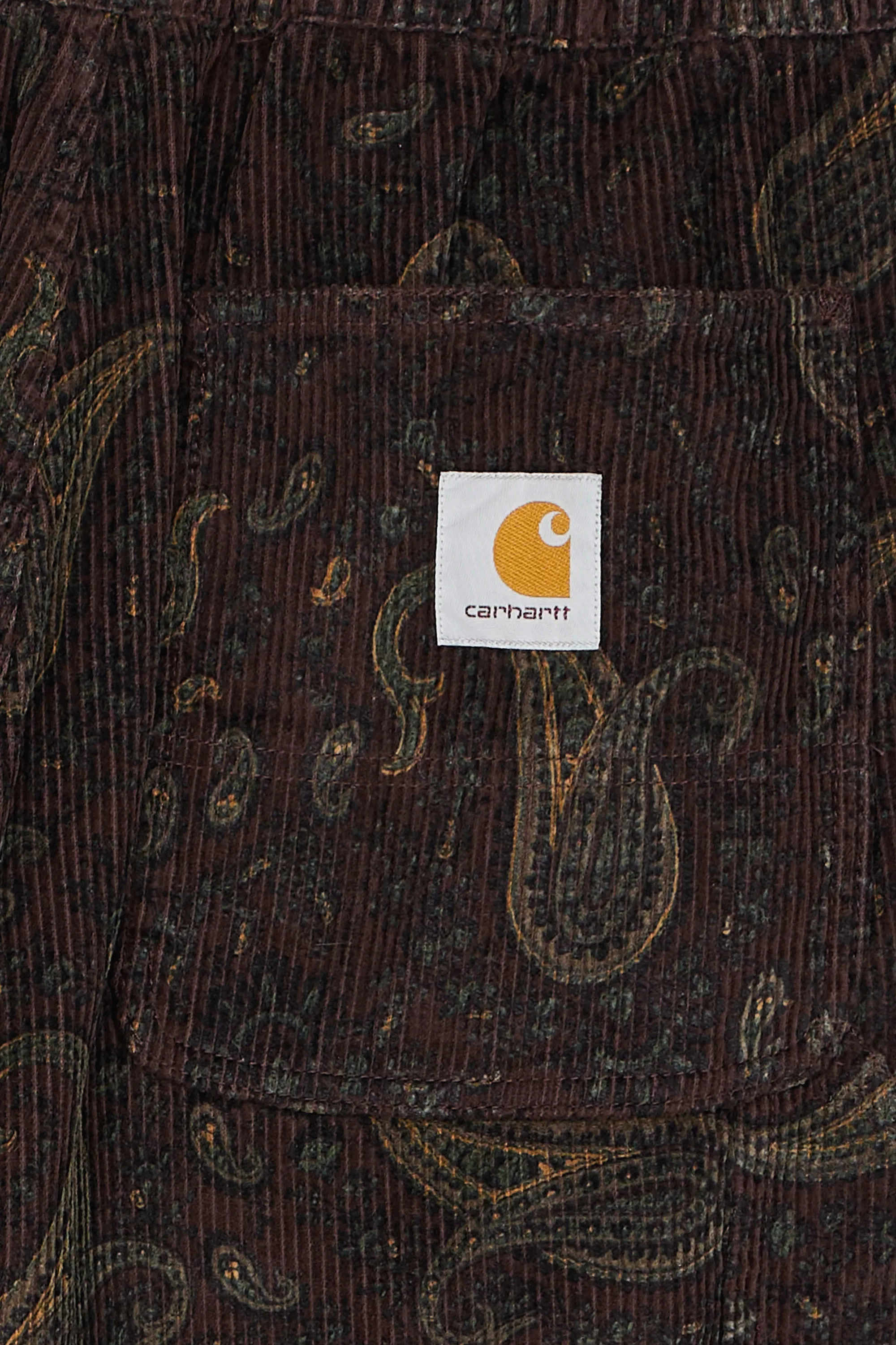 CARHARTT WIP Pantalon FLINT  Multicolore