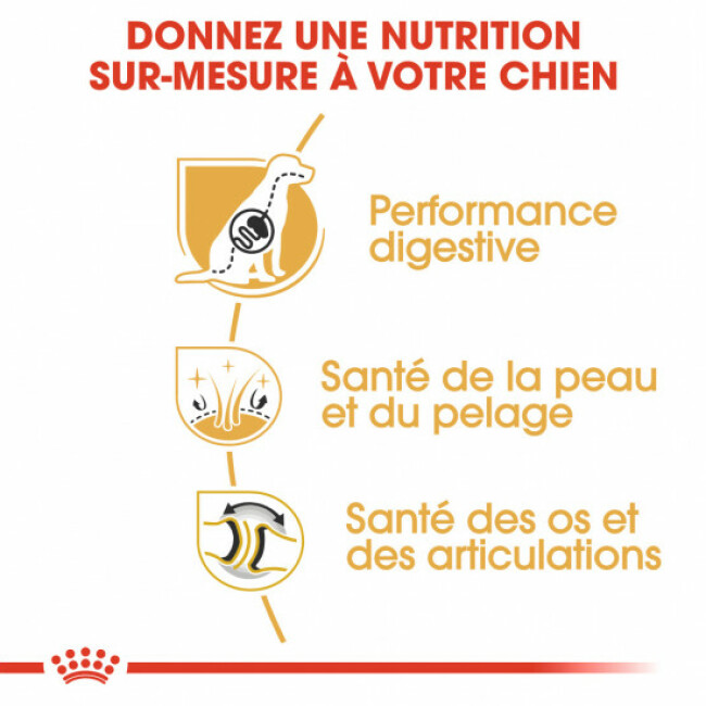 Croquettes Royal Canin Berger Allemand Adulte