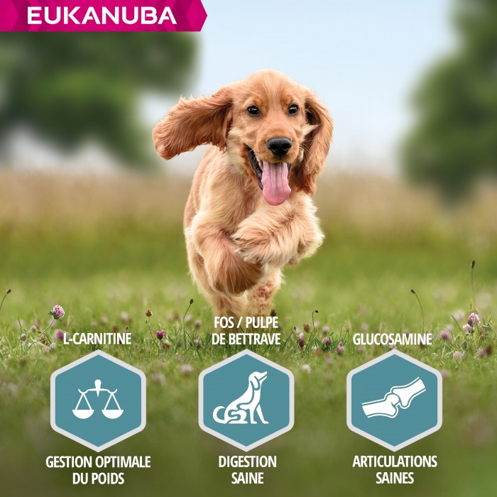 Eukanuba Adult Small & Medium Breed - Saumon et orge