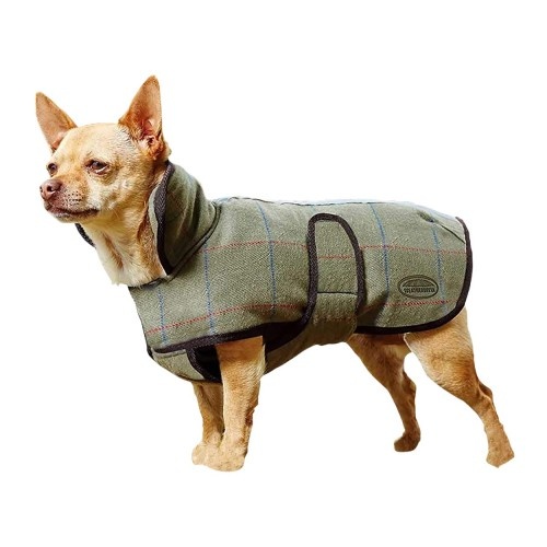 Casaco de tweed cor de oliva para cães