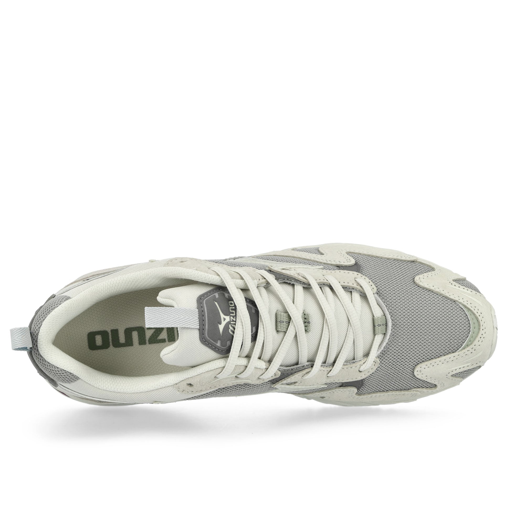 Mizuno<br>Wave Rider 10