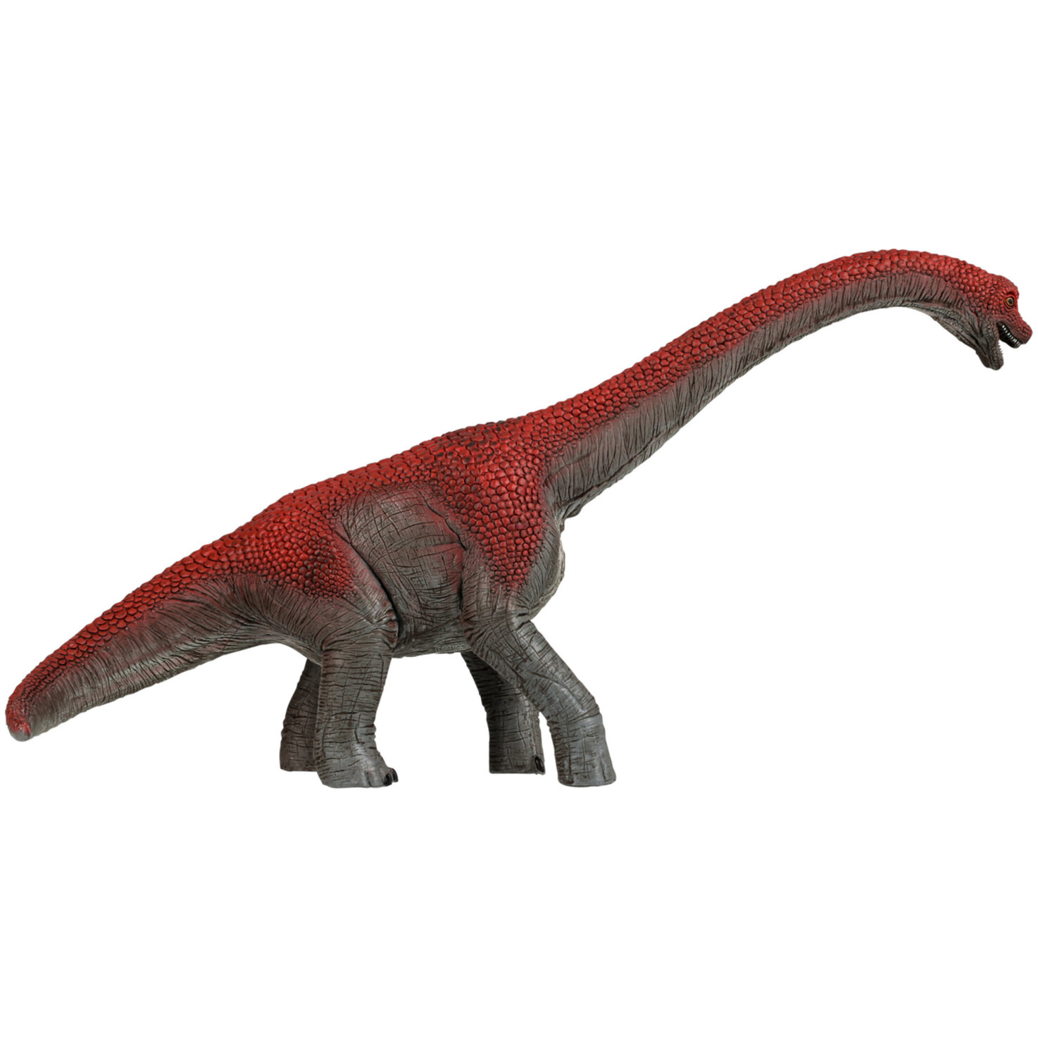 Brachiosaurus