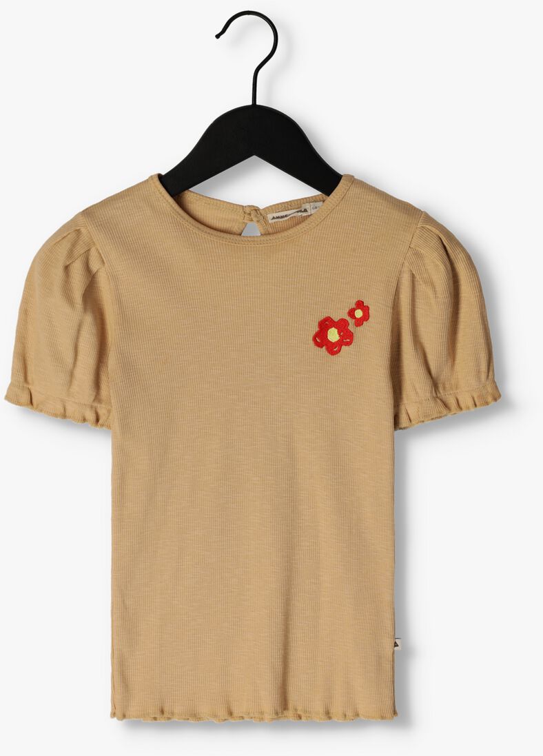 AMMEHOELA camel ammehoela t-shirt am.sofiess.29