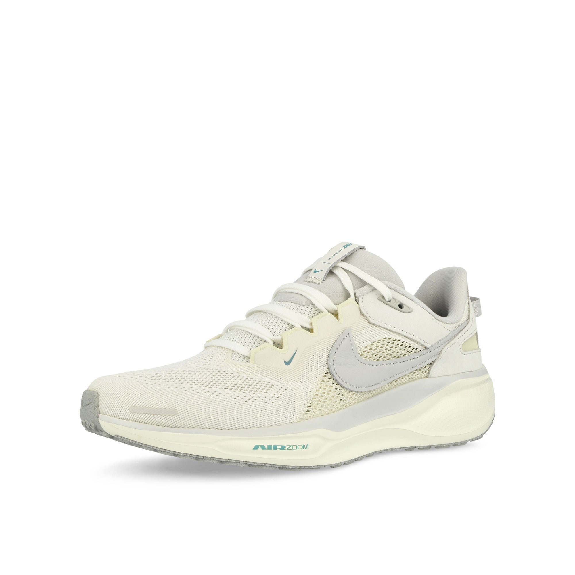 Nike<br>Air Zoom Pegasus 41 SP