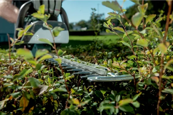 Metabo AHS 18-65 V - Hæktrimmer - ledningfri - 18 V - intet batteri - 2700 spm - 65 cm - 63 cm - Skærekapacitet 18 mm - 3.9 kg