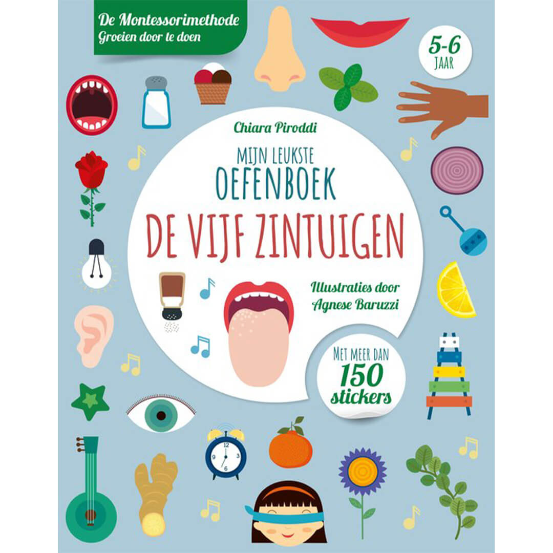 Rebo mijn leukste oefenboek - de vijf zintuigen