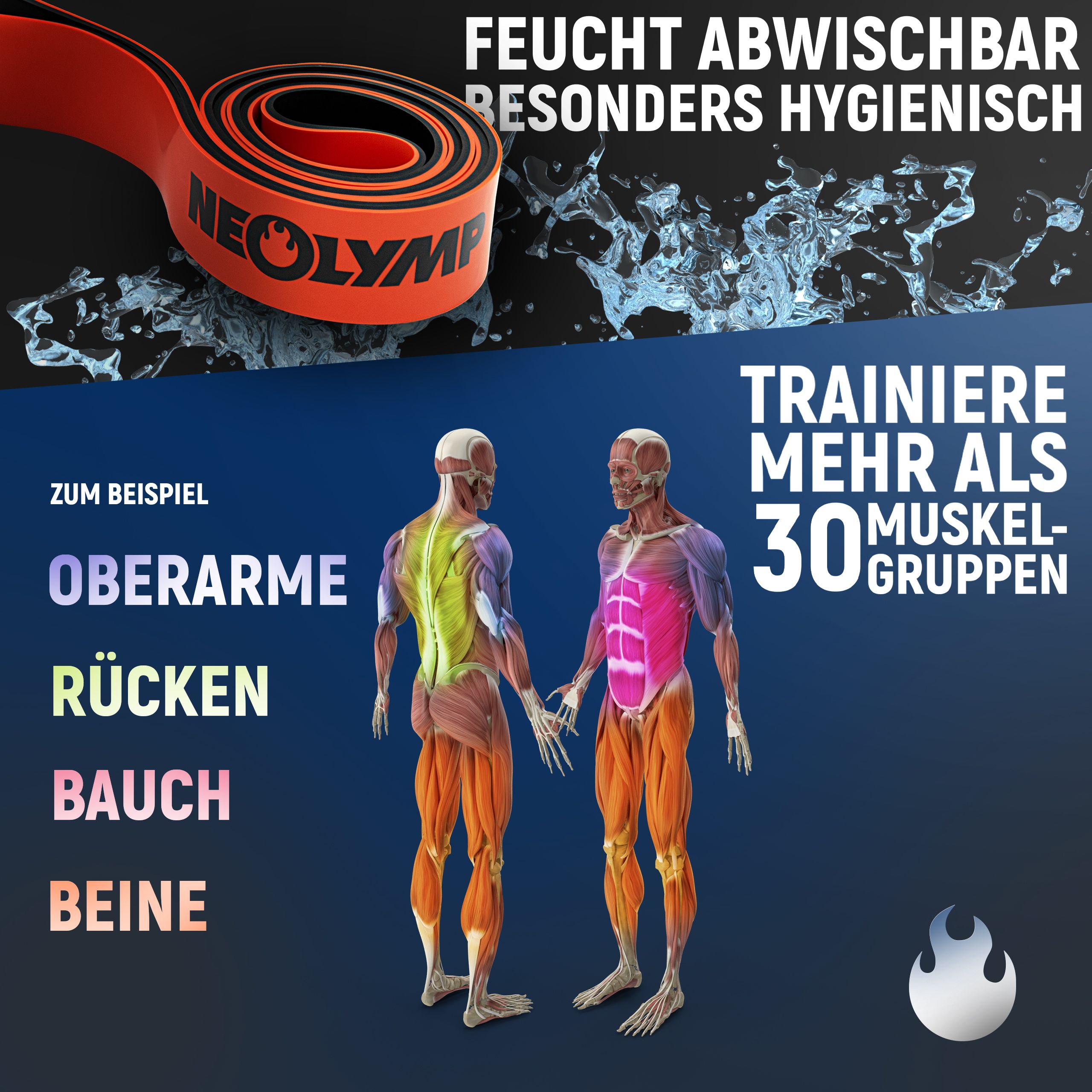 NEOLYMP Resistance Bands