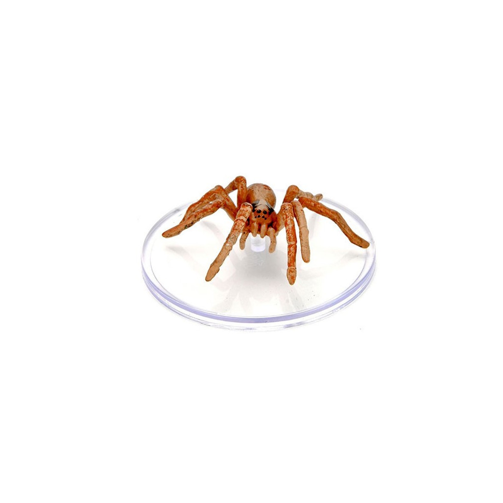 D&D Icons of the Realms - Wild Shape & Polymorph Set 2