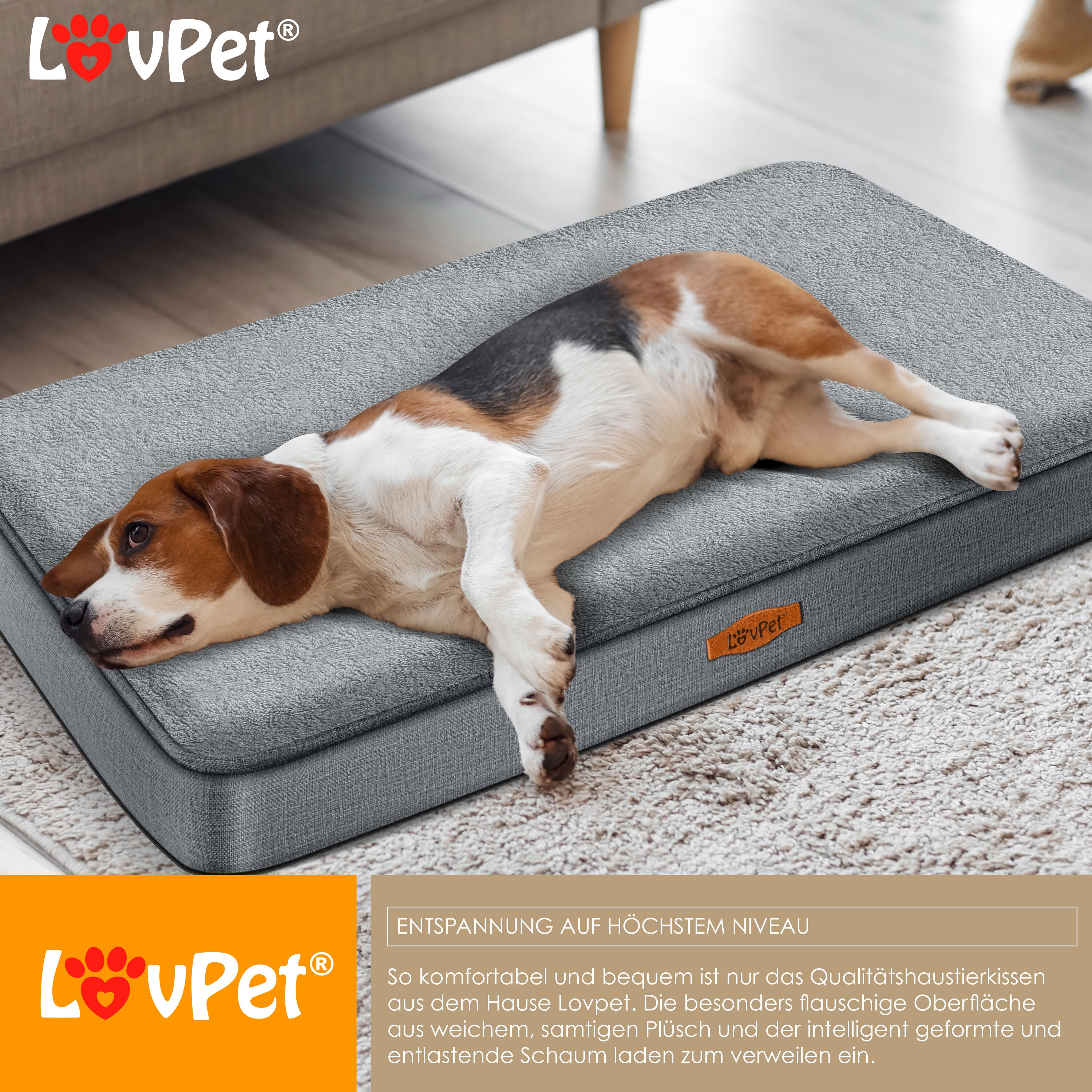 LovPet® Hundebett orthopädisches Hundekissen Hundekorb Cookie, Inkl. Napf + 3X Kauknochen, Hundesofa für Kleine, Mittelgroße & Große Hunde, Bezug abnehmbar und waschbar