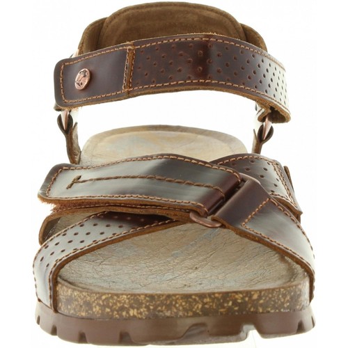 Panama Jack - SAMBO EXPLORER C4 Marr