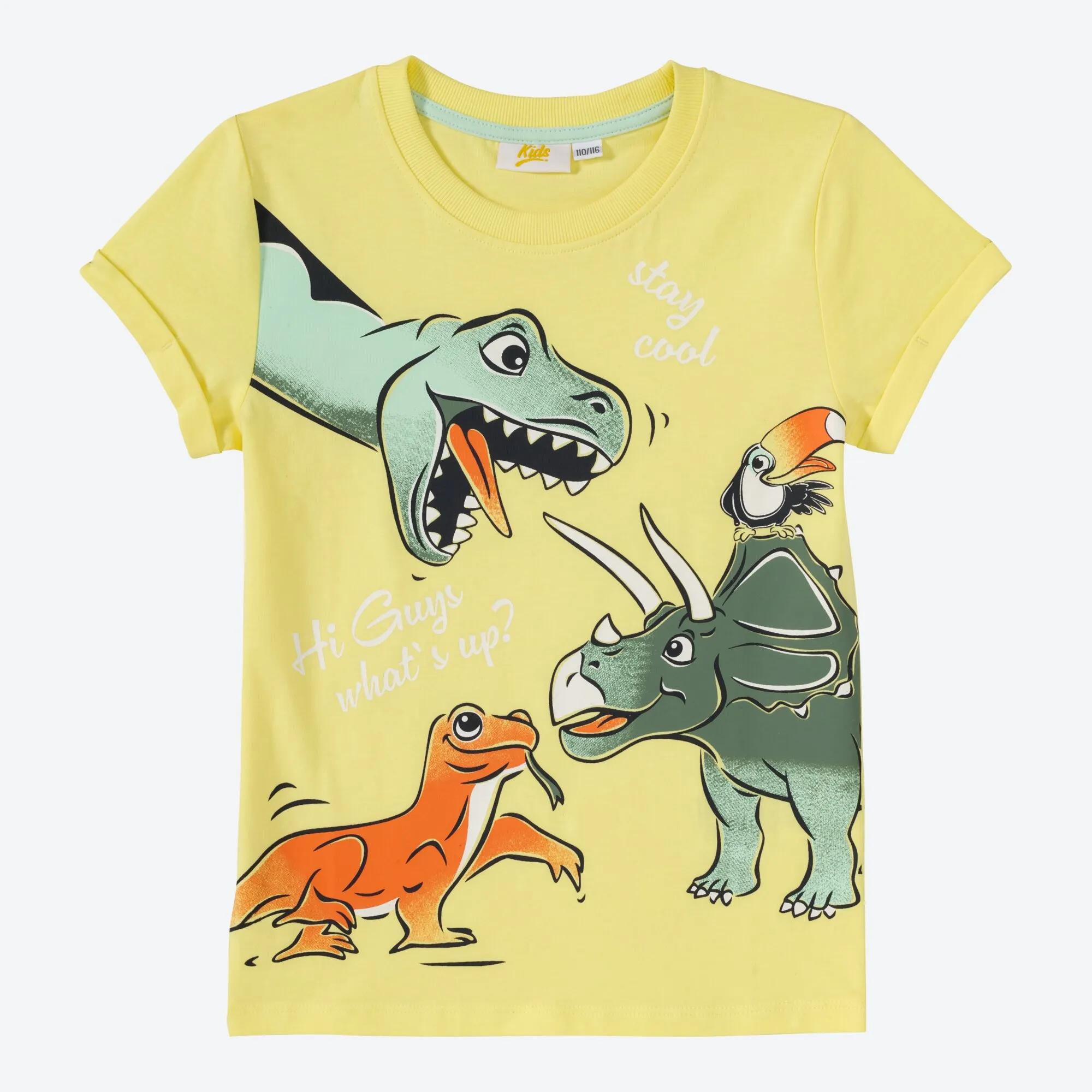 Jungen-T-Shirt mit Dinosaurier-Frontaufdruck