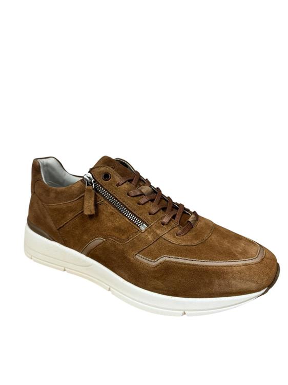 Greve 3284.12 Walker Sella Suede