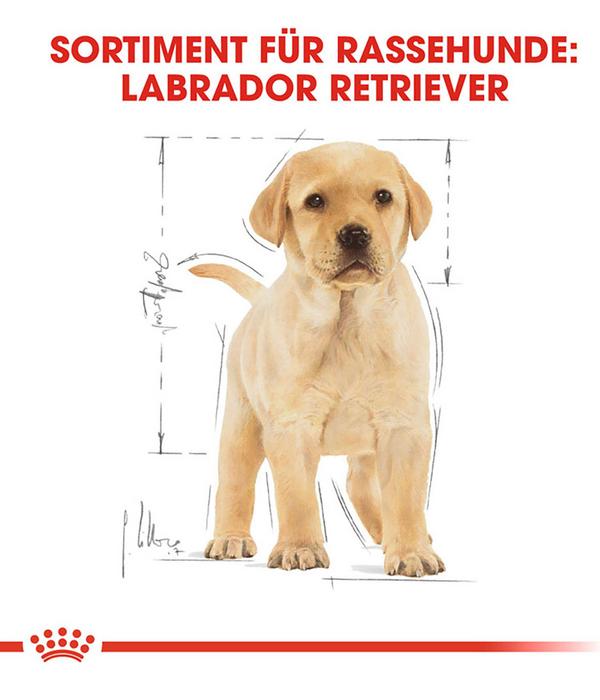 ROYAL CANIN® Trockenfutter für Hunde