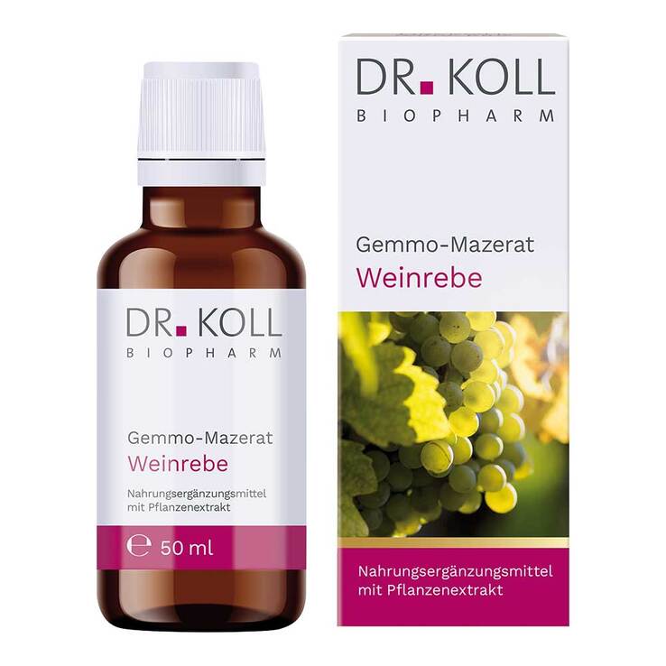 Gemmo-Mazerat Weinrebe Dr. Koll Vitis vinifera Tropfen, 50 ml