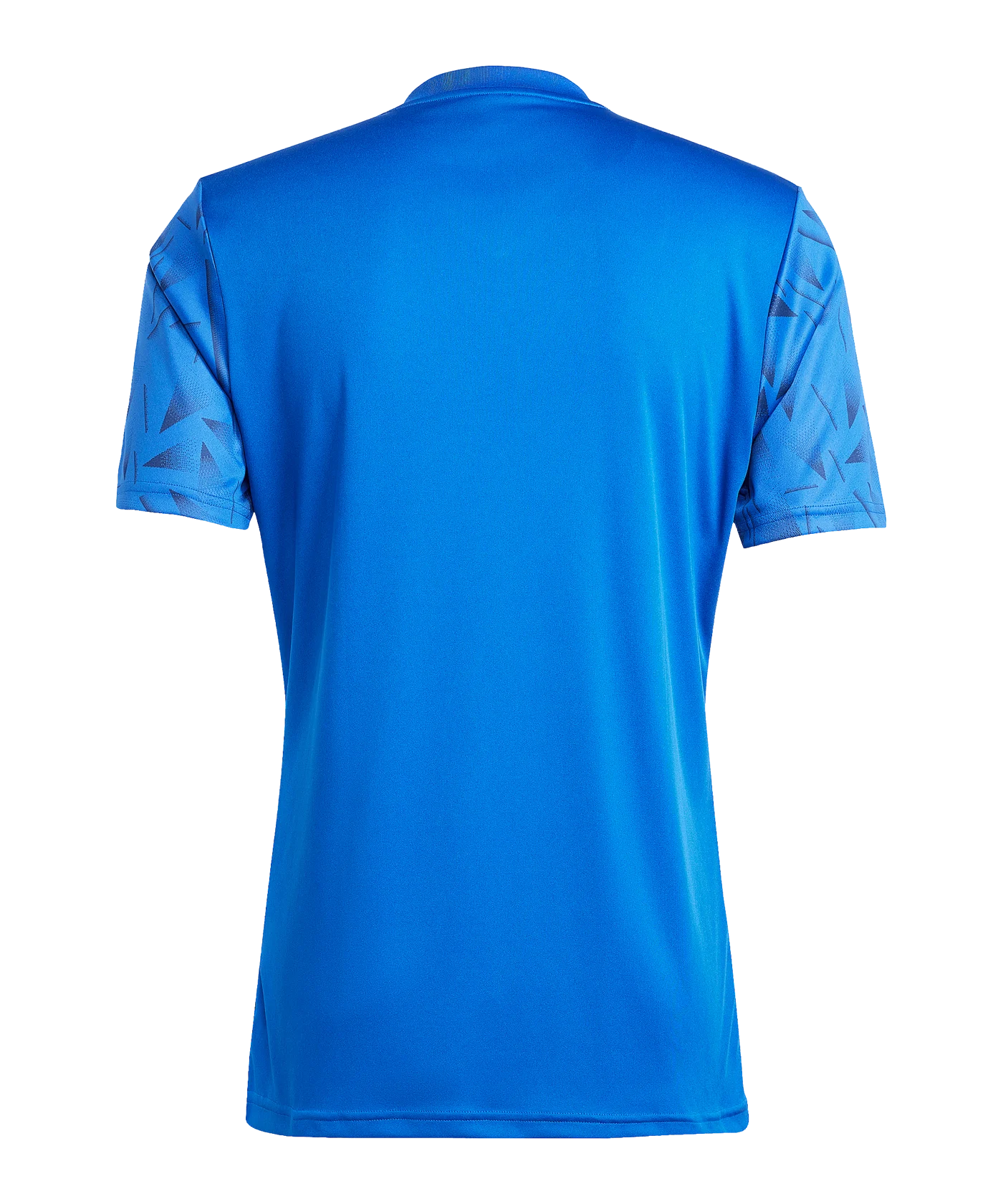 adidas Team Icon 25 Trikot Hellblau