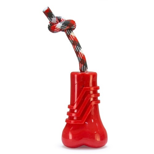Osso vermelho rangente Arquivet
