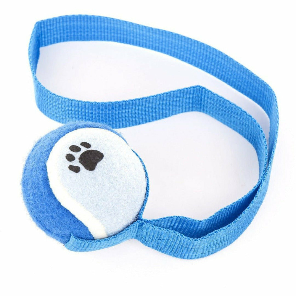 Lot de 4 balles de tennis avec sangle pour chiens - coloris suivants disponibilité