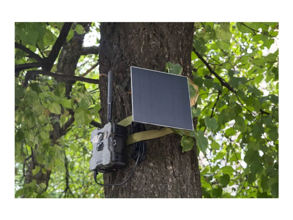 Technaxx TX-189 - Kamerafælde - 4.0 MP - 1440p / 15 fps - 4G, 4G - ikke specificeret