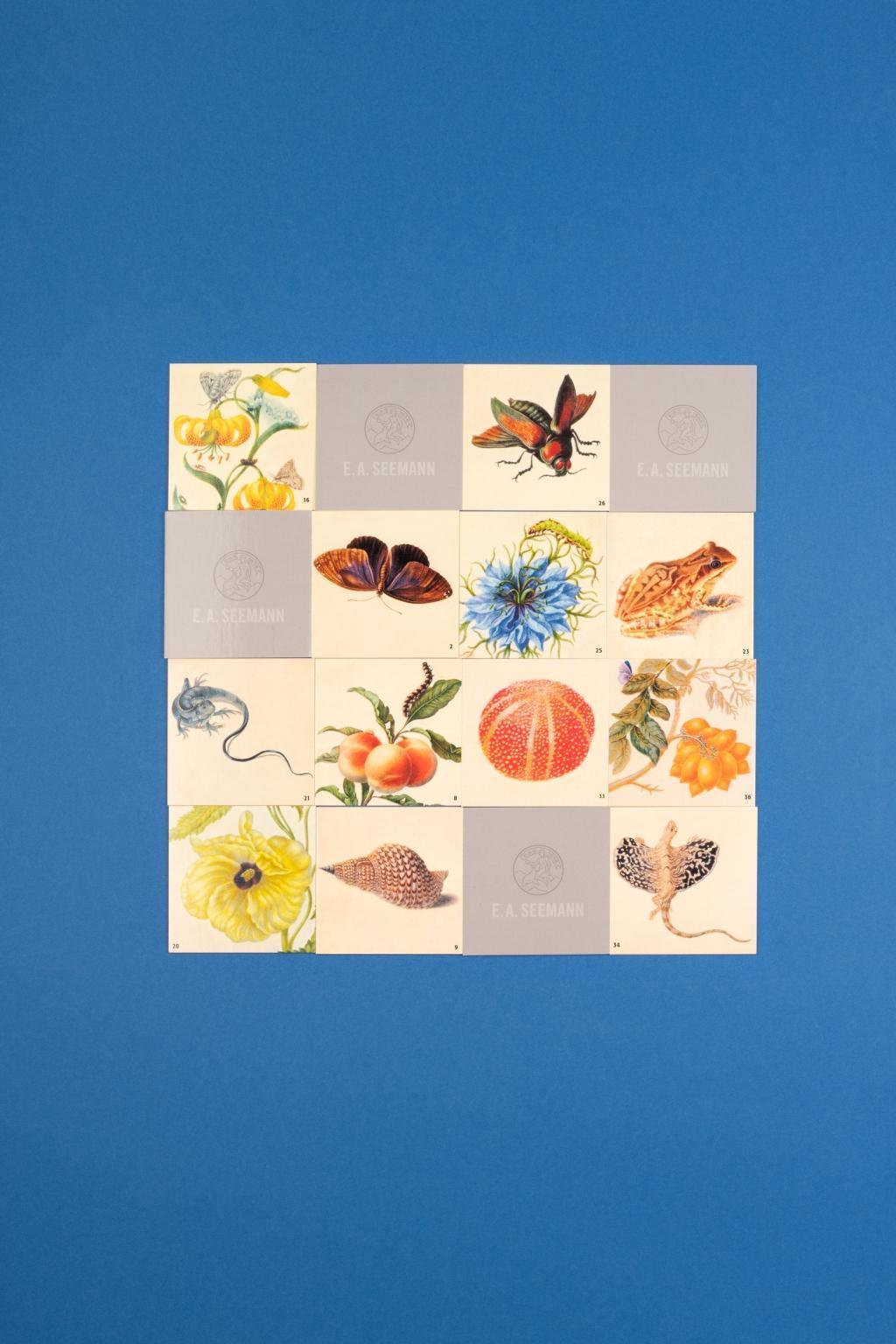 Maria Sibylla Merian. Memo (Spiel)