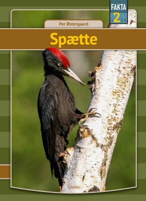 Spætte - Per Østergaard - Bog