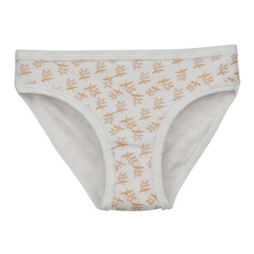 Petit Bateau - CULOTTES PETIT BATEAU PACK X5 - Multicolore