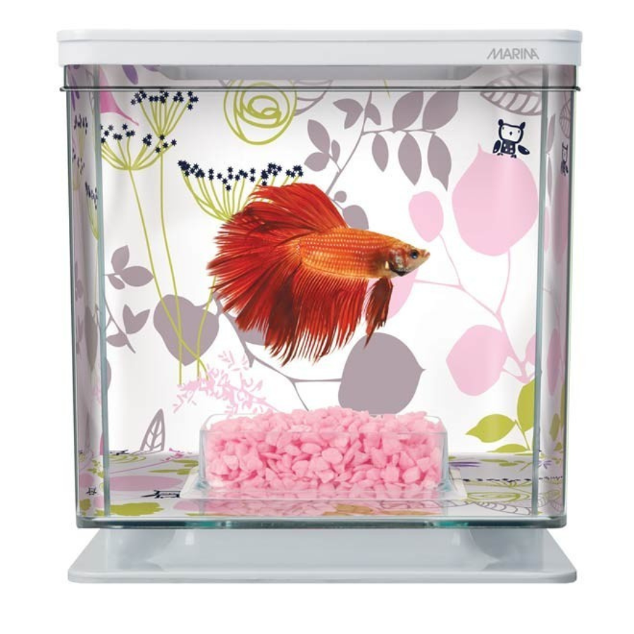 Kit Marina Bettera Marina Betta