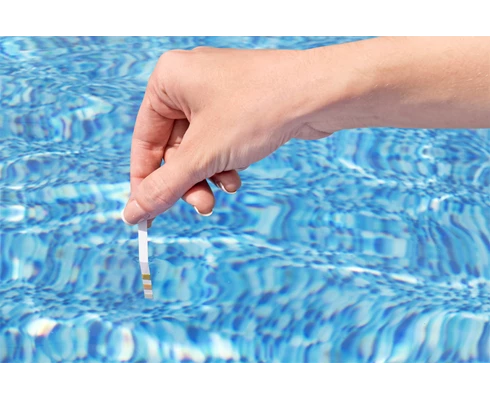 Bestway Pool   Spa Test Strips