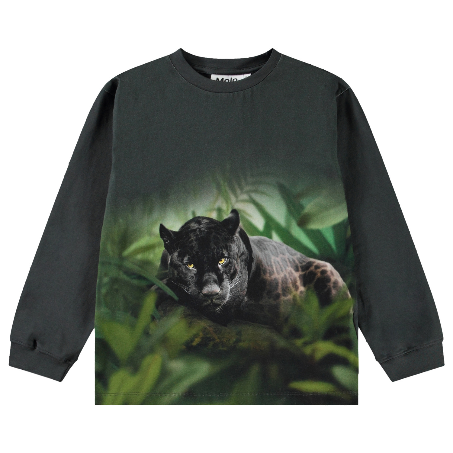Rube - Black Jaguar
