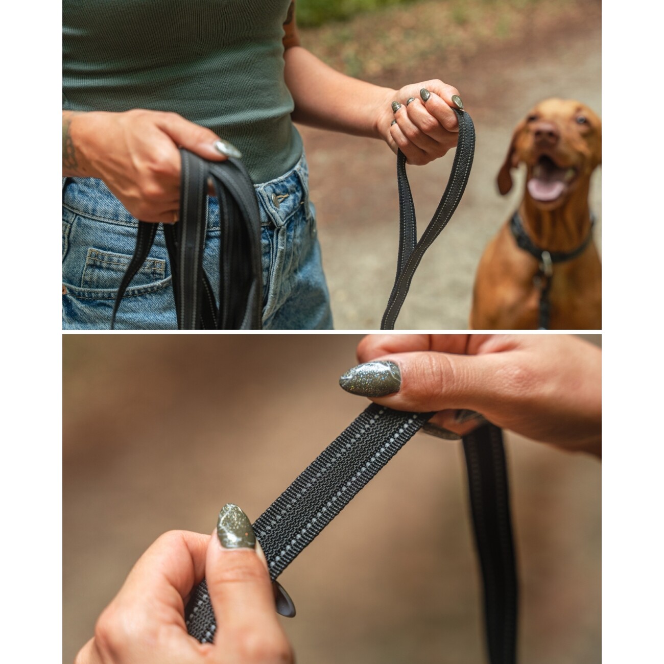 Lionto Gummierte Schleppleine für Hunde, reflektierend 10 m