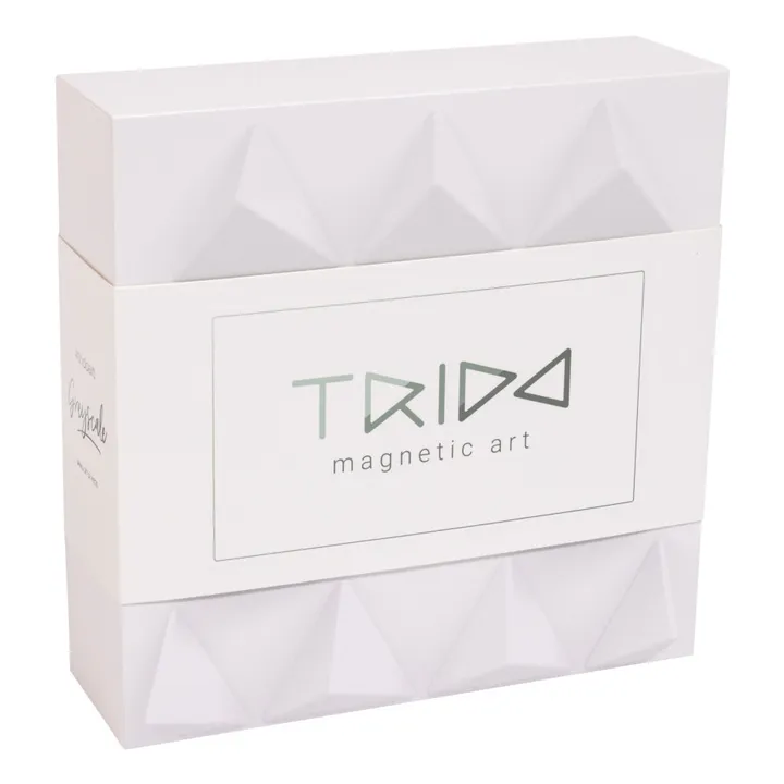Trido Jeu de construction magnétique Greyscale - Set de 12 pièces